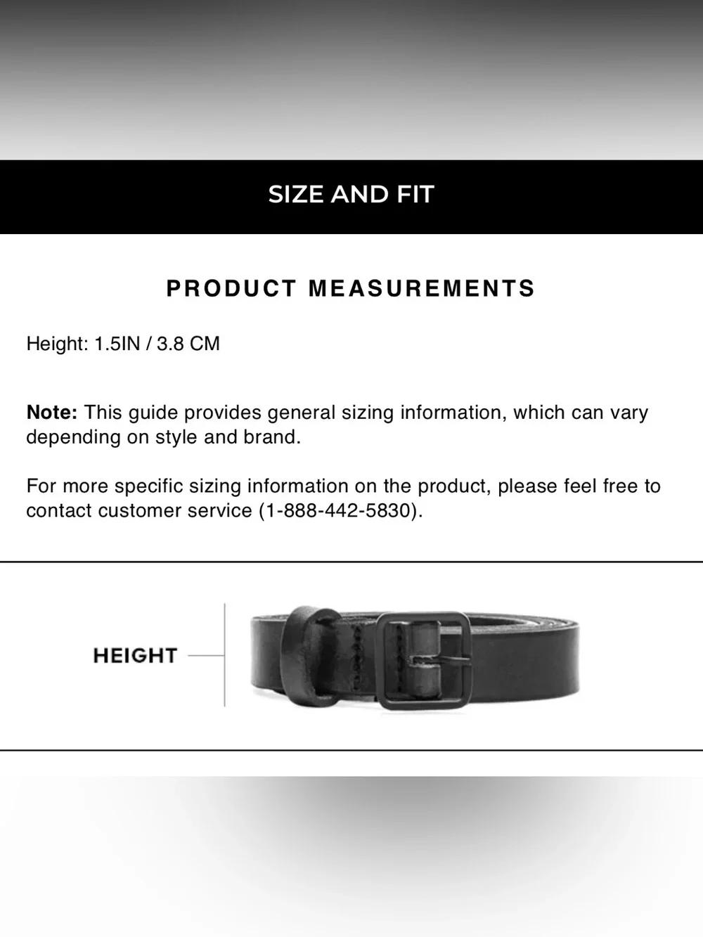 Revolve B-low the Belt Phoenix Belt